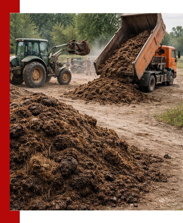 Доставка навоза самосвалами в Ярославле для сельхозпотребностей
